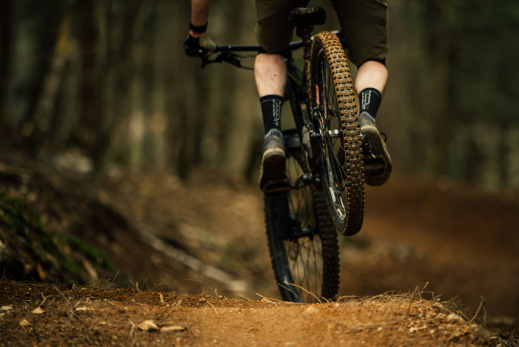 Types of Mountain Bike: Trail